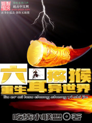 ����⨺�����������